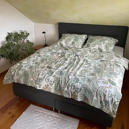 Nussbaum-nest Hausen (Rhon-Grabfeld)